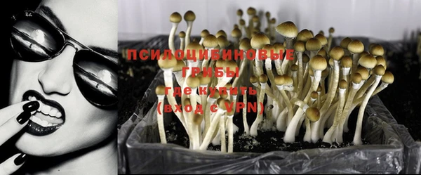 мяу мяу мука Алексин
