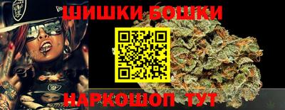 крисы Сибай
