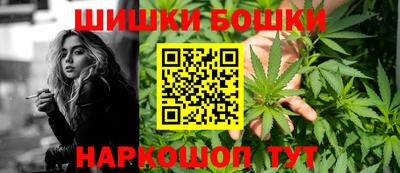 крисы Сибай